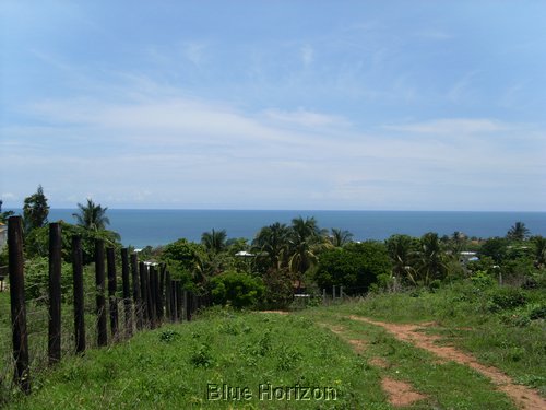 category Image